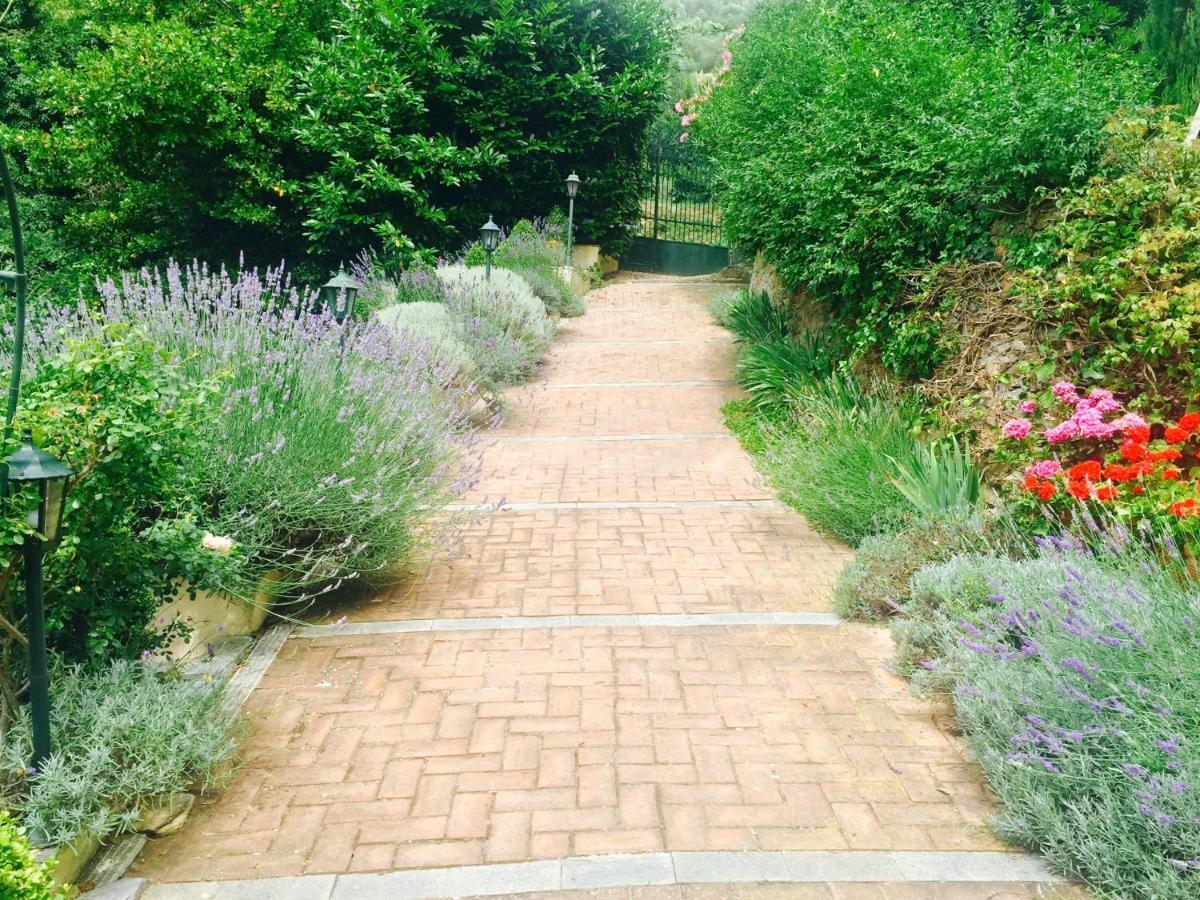 Casanova Lerrone Villa Barca - Luxury Vacation Rentals - Wellness & Pool מראה חיצוני תמונה